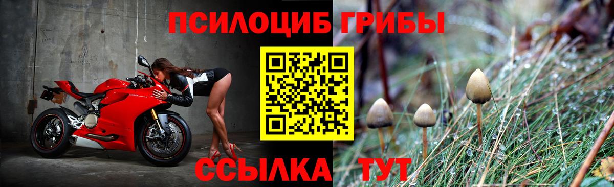 Лянтор  купить наркотики цена  Вход с VPN  Галлюциногенные грибы Magic Shrooms 